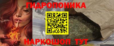 прущие грибы Кандалакша