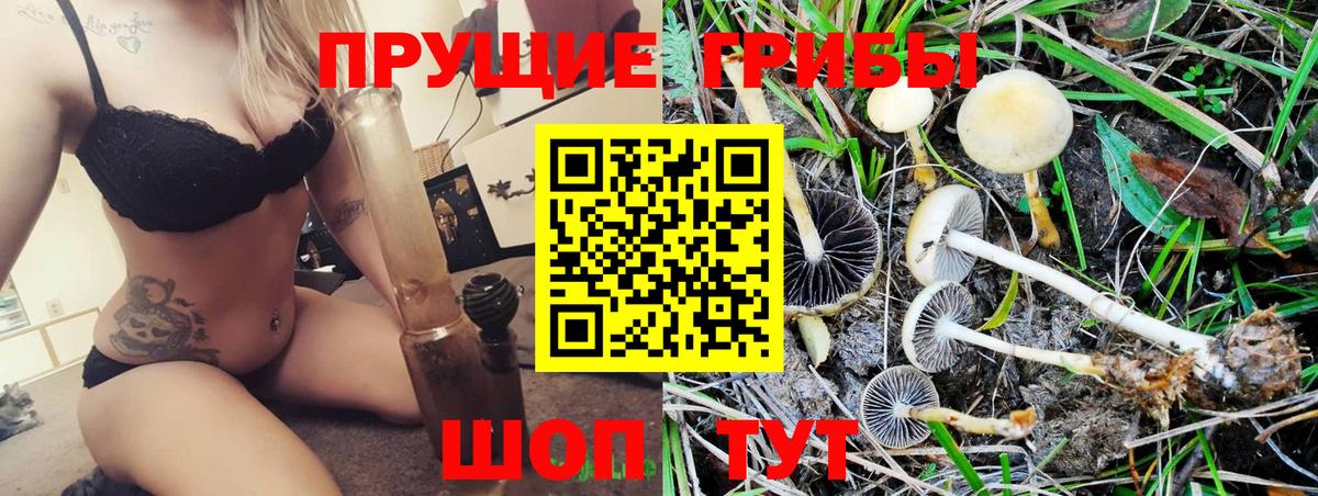 Галлюциногенные грибы мухоморы  Вход с VPN  Псилоцибиновые грибы мухоморы  Камышин 