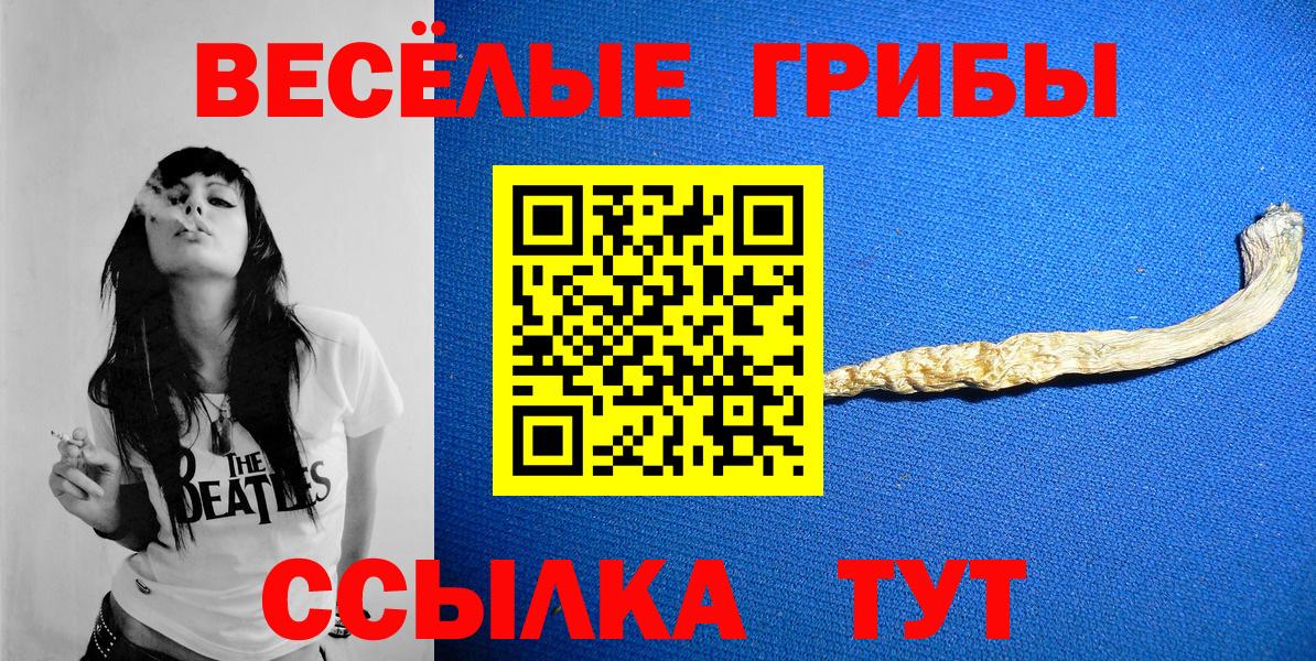 Псилоцибиновые грибы мицелий Камышин